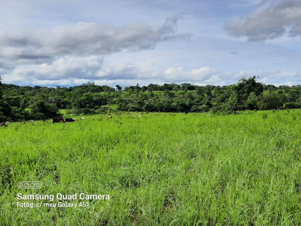 Fazenda em Formoso-GO 10