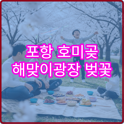 포항 호미곶 해맞이광장 벚꽃 사진 황금시간 드론 촬영 허용 팁