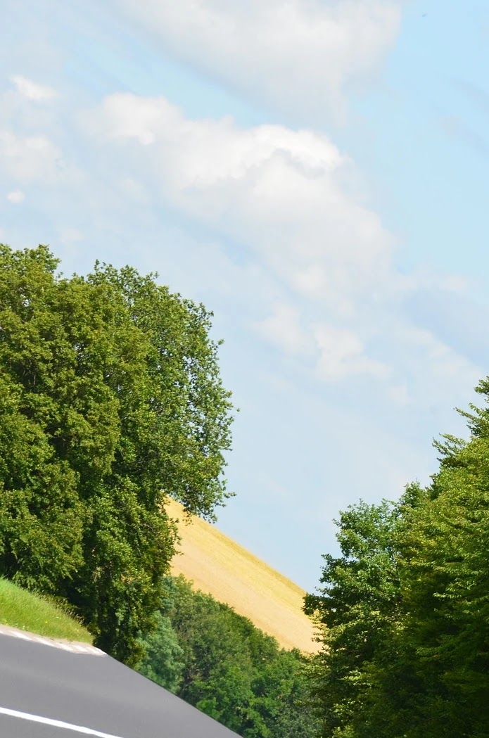 교육 제도별 진로 탐색 방법과 개인 맞춤 커리어 설계 가이드