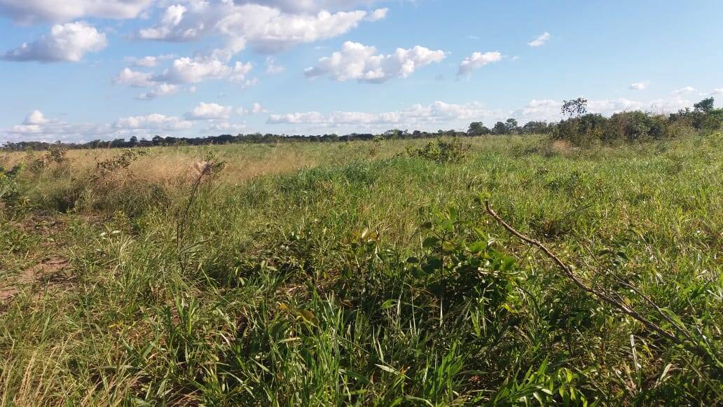 Fazenda em Barra do Ouro - TO 4
