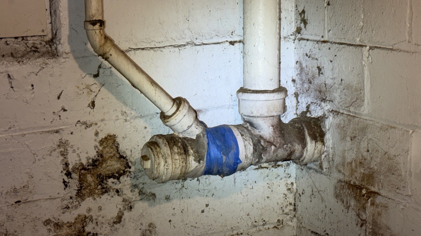 Copy of IMG_2026-03-13_14-50-38_413.jpg