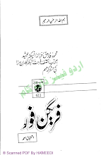 Fraigan Four by Ishtiaq Ahmed PDF