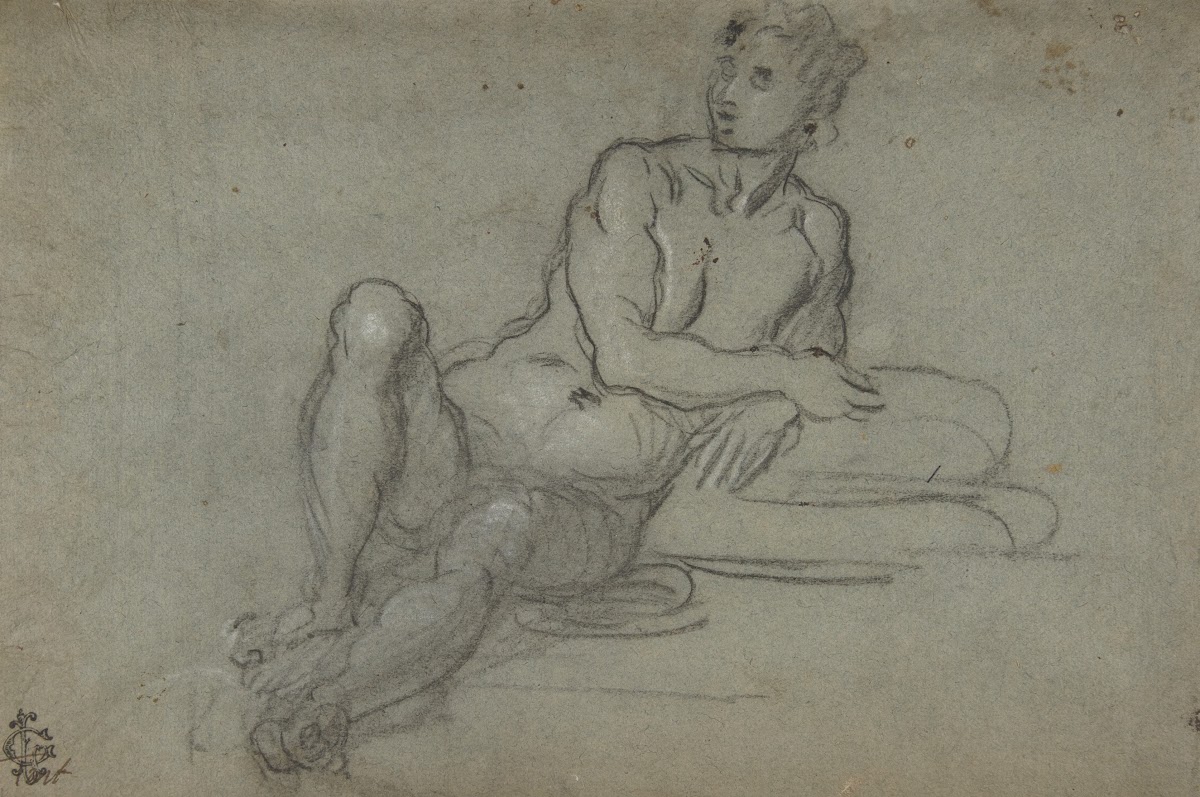 Reclining Female Nude Figure 15601635