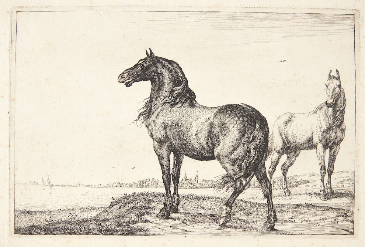 Vrinskende hest 1652