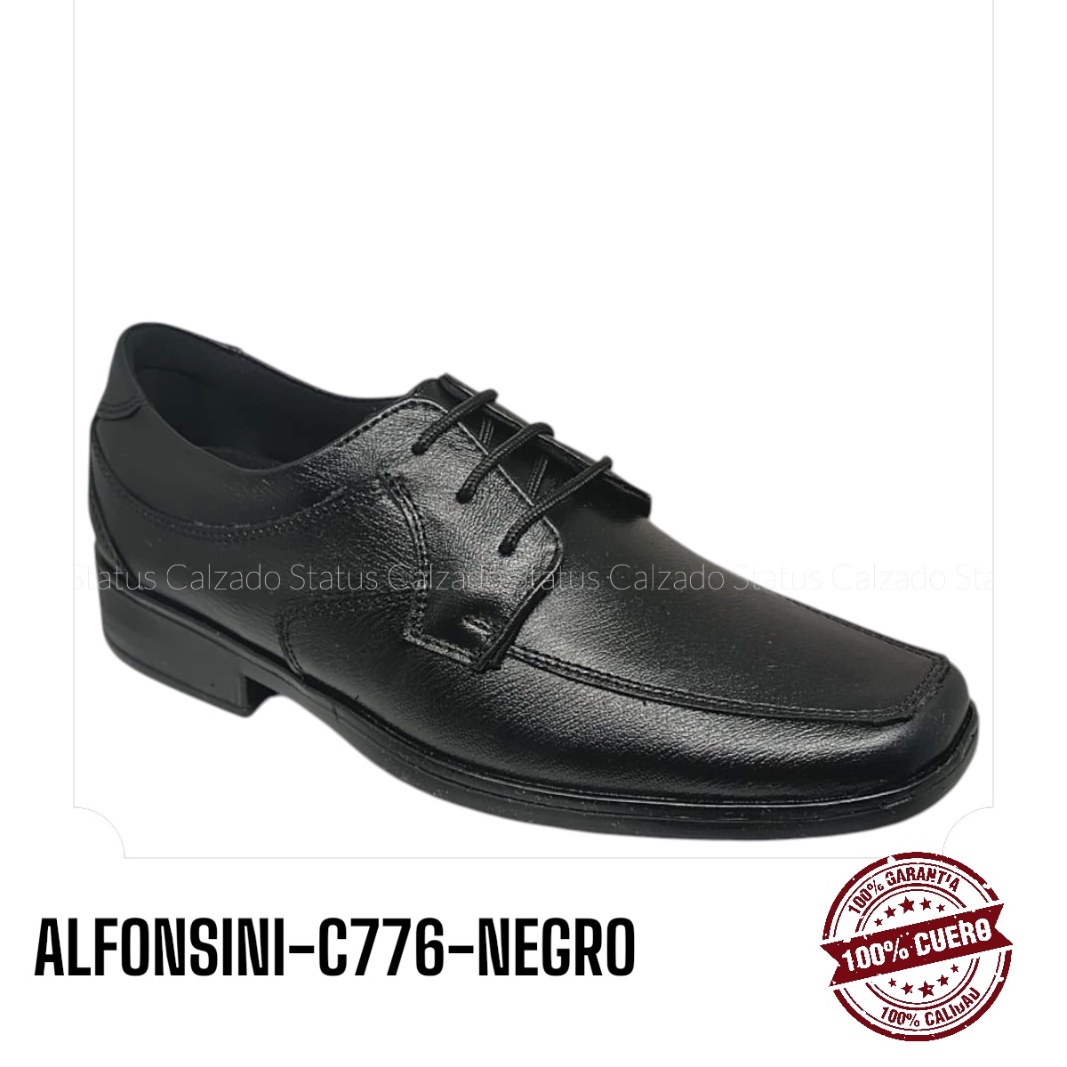 ALFONSINI-C776-NEGRO
