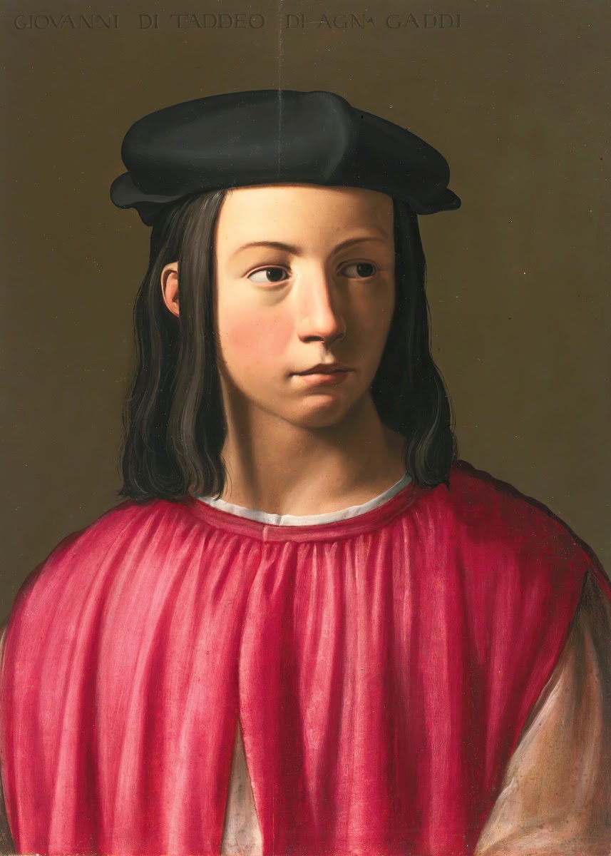 Portrait Of Giovanni Gaddi 1493 1542 16th century