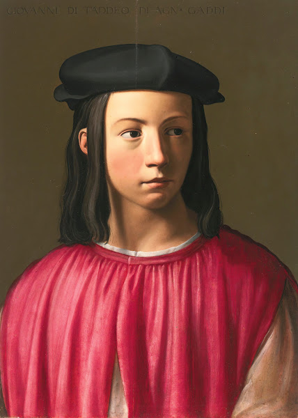 Portrait Of Giovanni Gaddi 1493 1542 16th century