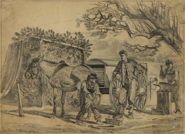 Shoeing a mule 1863