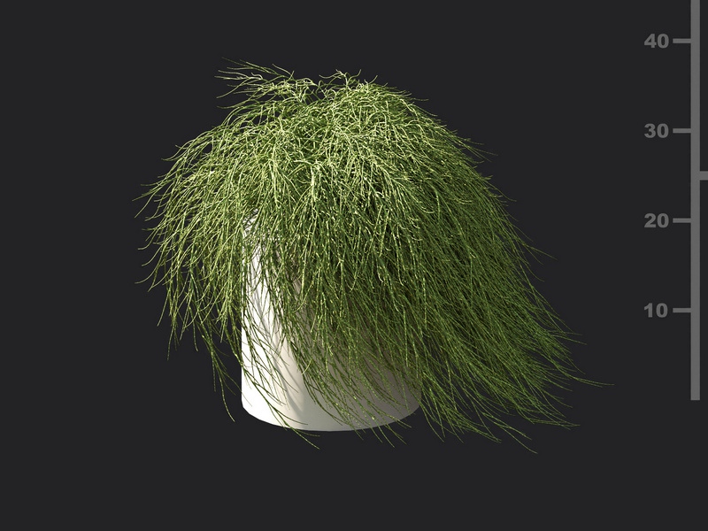 Maxtree - Plant Models Vol.119