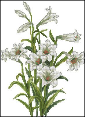 CMP 171653 Pattern
