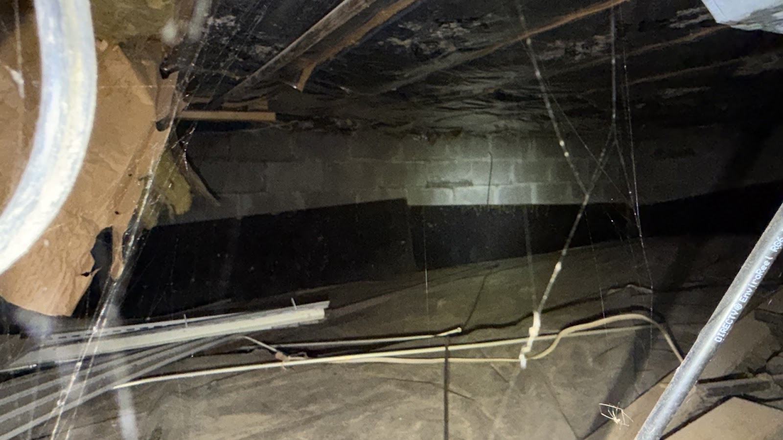 Copy of IMG_2026-03-13_14-48-21_494.jpg