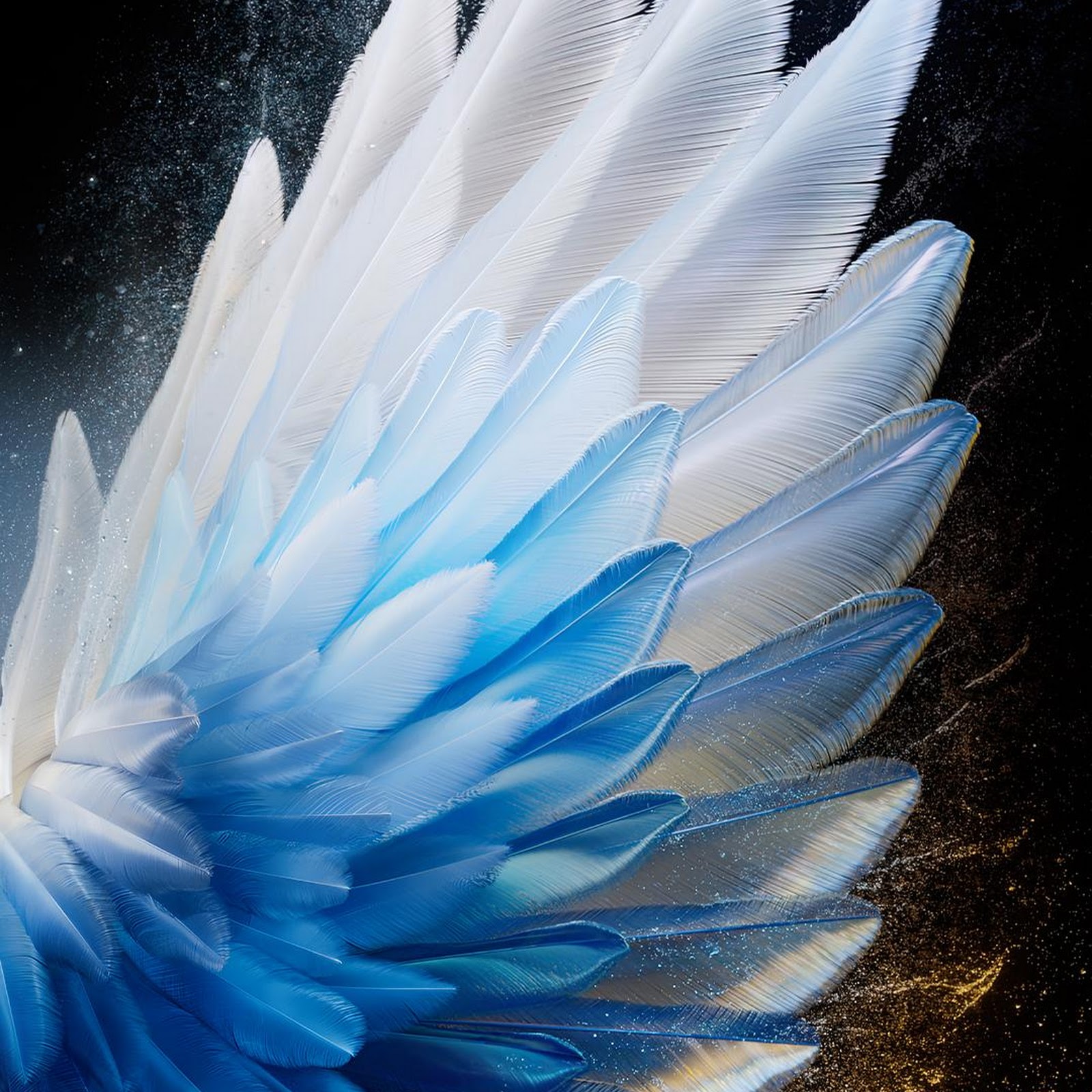 Download Abstract Wing With Gold Sparkles Full HD iPhone