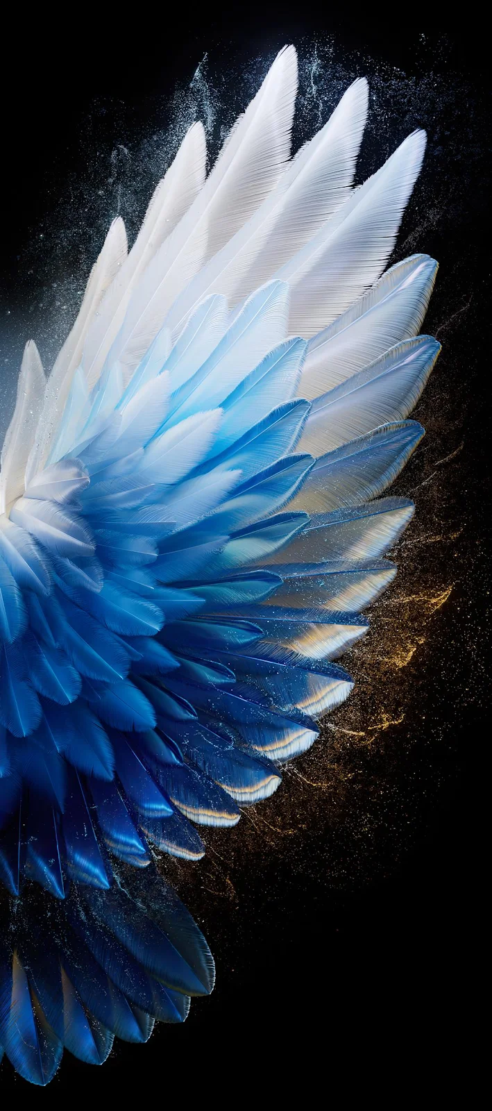 Abstract Wing With Gold Sparkles - Macro Digital Art Full HD iPhone Wallpaper (1080x2436)