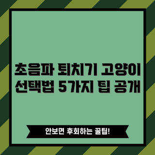 고양이초음파퇴치기, 고양이 퇴치 방법, 반려동물 기기, 2023 가을 추천, 고양이 소음 방지