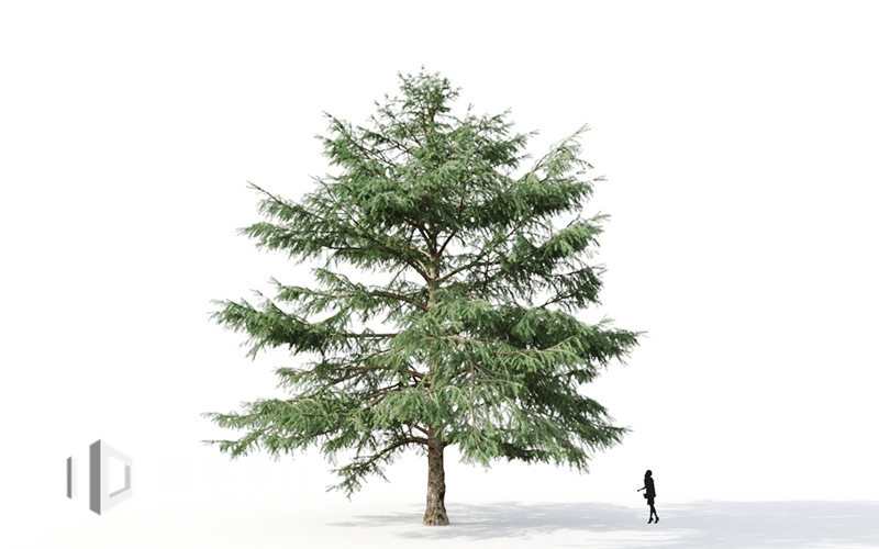 Maxtree - Plant Models Vol.9