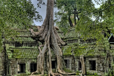 Cambodia + Bangkok photo 5
