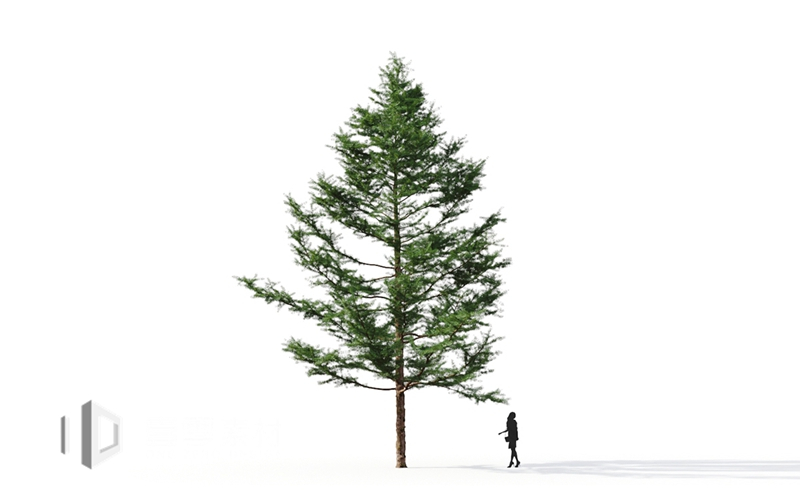 Maxtree - Plant Models Vol.9