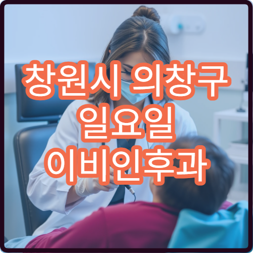 창원시 의창구 일요일 이비인후과 진료 병원 중이염 치료 가능