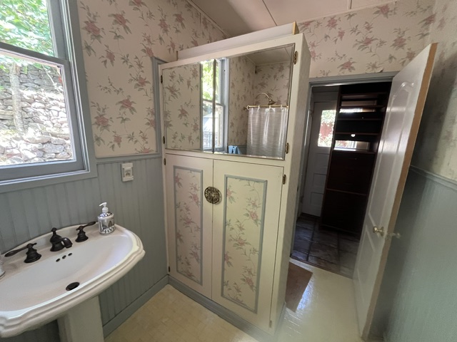 Bathroom sink and built-in cabinet — before remodel