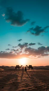 Desert Sunset Silhouette with Camels and Travelers