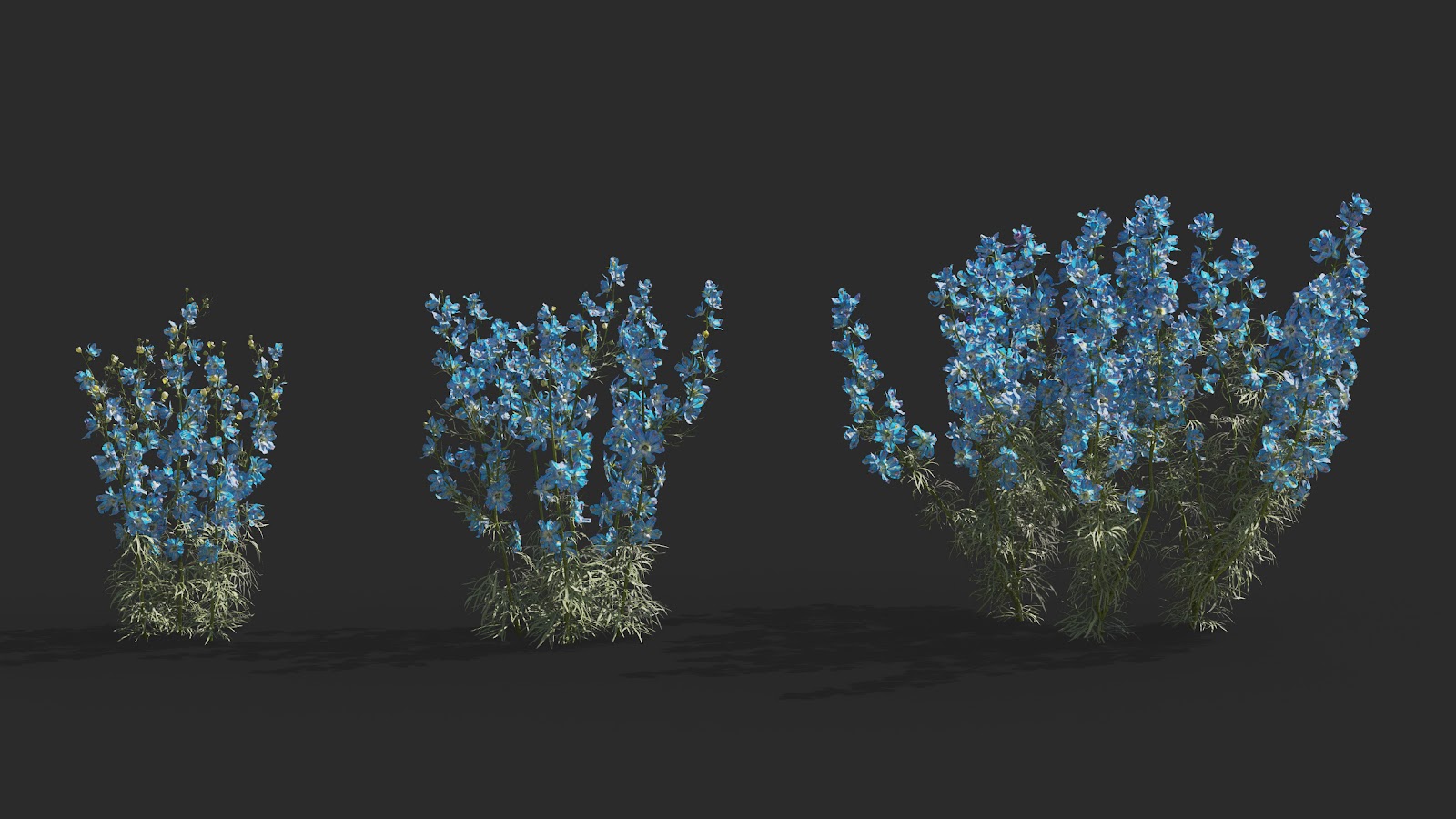 Maxtree - Plant Models Vol.64
