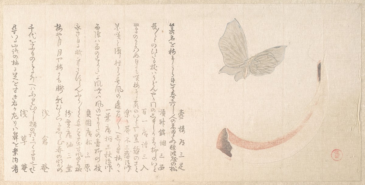 Flower Vase of Horn and a Butterfly
