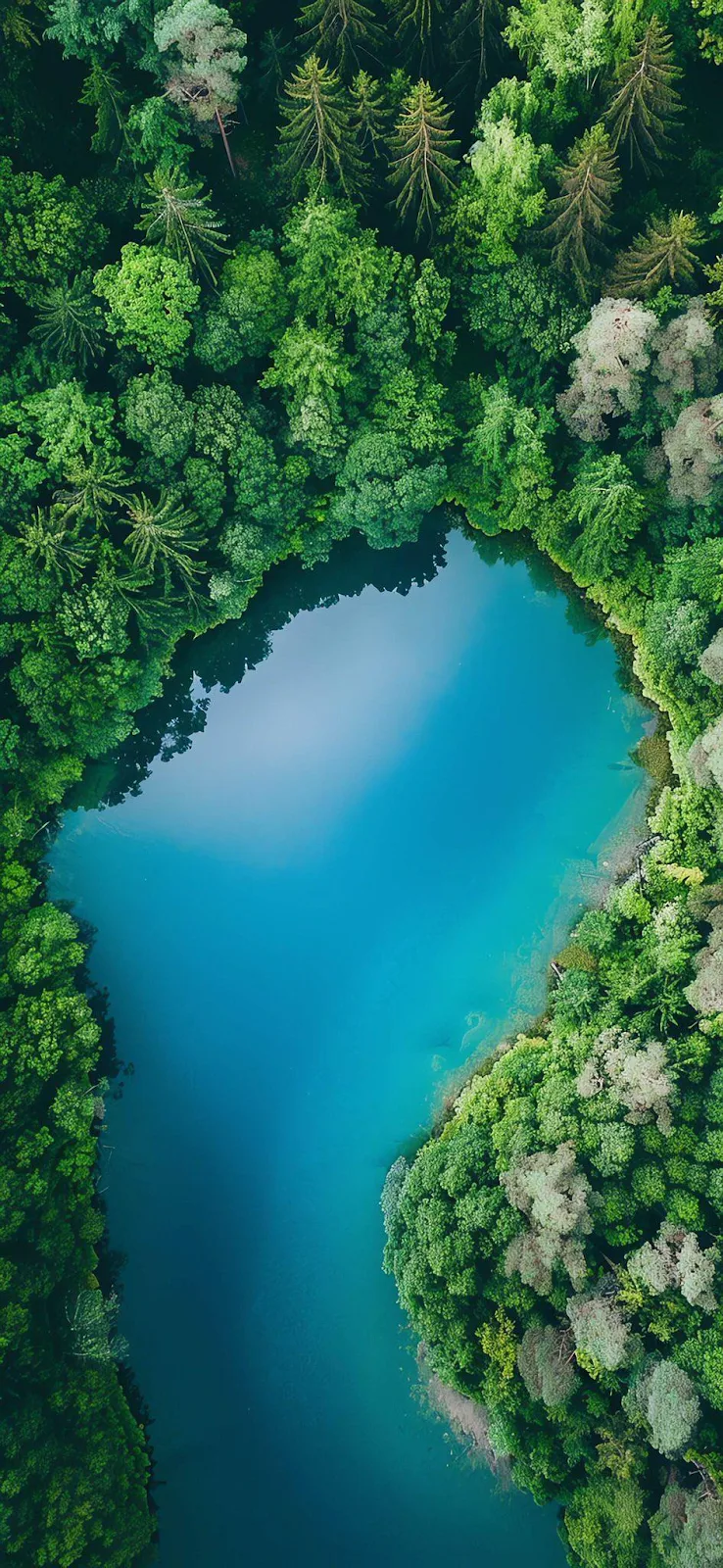 Aerial View Of Forest Lake - Aerial Photography iPhone Wallpaper (945x2048)