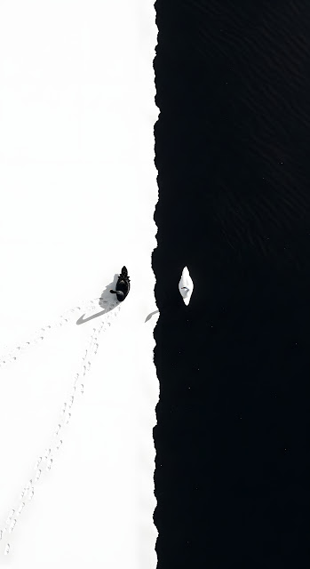 Conceptual Top-Down Photo of Black and White Swans on Divided Snow and Water - Free mobile Wallpaper