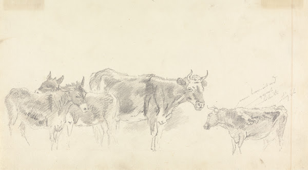 Study of Cattle and Donkeys