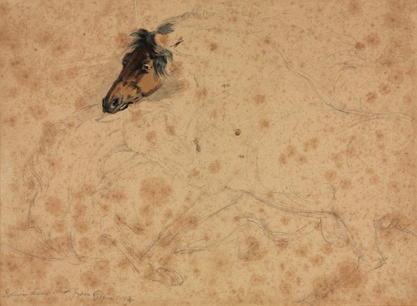 Study of Horses 1854