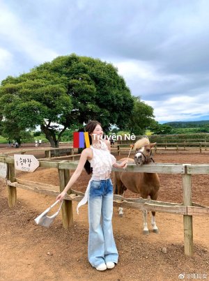 Cuộc Chiến Ghế Ngồi