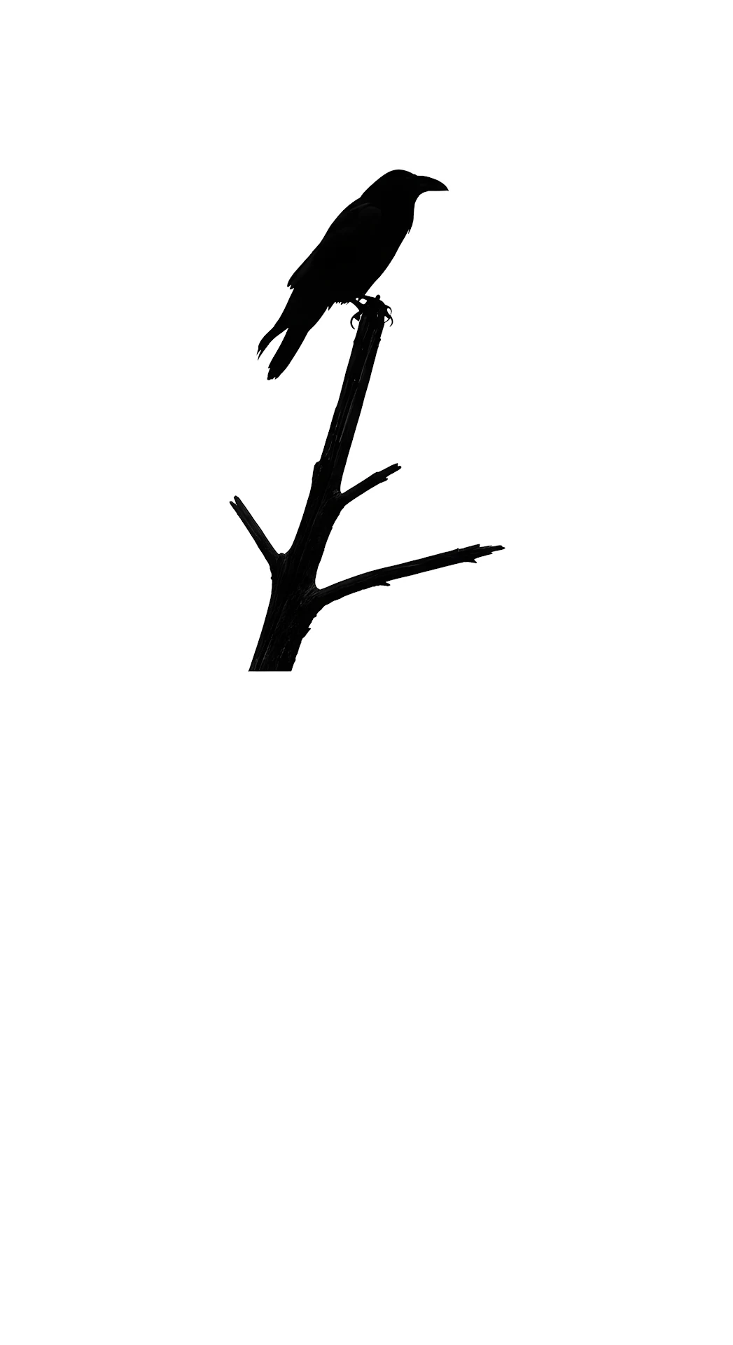 Stark Black Silhouette of a Raven on a Bare Branch Against a Minimal White Sky - Free 4K mobile Wallpaper