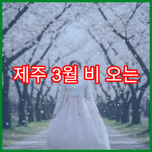 제주 3월 비 오는 날 즐기는 실내+벚꽃 코스