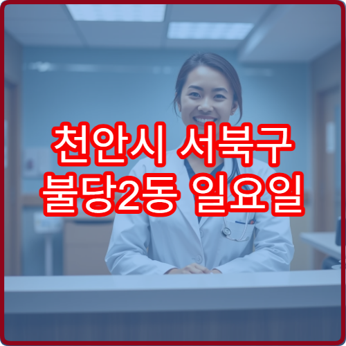 천안시 서북구 불당2동 일요일 내과 진료 병원 주말 내과 상담