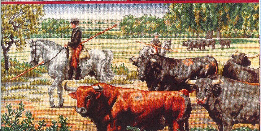 CMP Neatherd