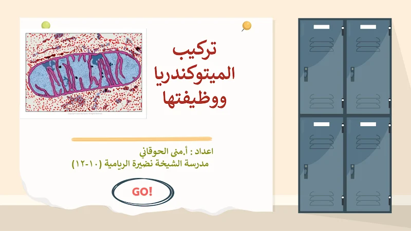 صورة الغلاف