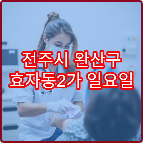 전주시 완산구 효자동2가 일요일 진료 정형외과 염좌 타박상 치료