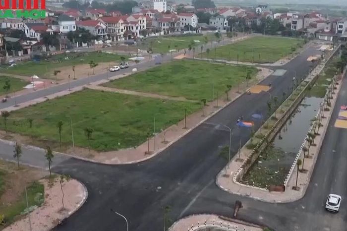 Diện tích tối thiểu tách thửa đất nông nghiệp tại Cà Mau năm 2026 - Chuyên trang Gia Đình &amp; Xã Hội - Báo Sức khỏe &amp; Đời sống