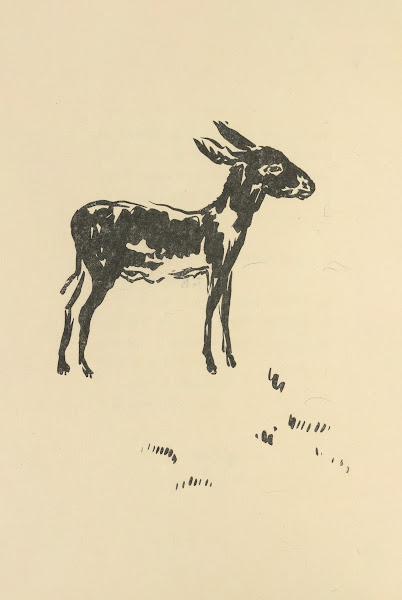 Histoires naturelles Pl 22 1922