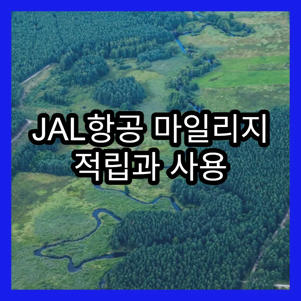 JAL항공 마일리지 적립과 사용 전략 최적화