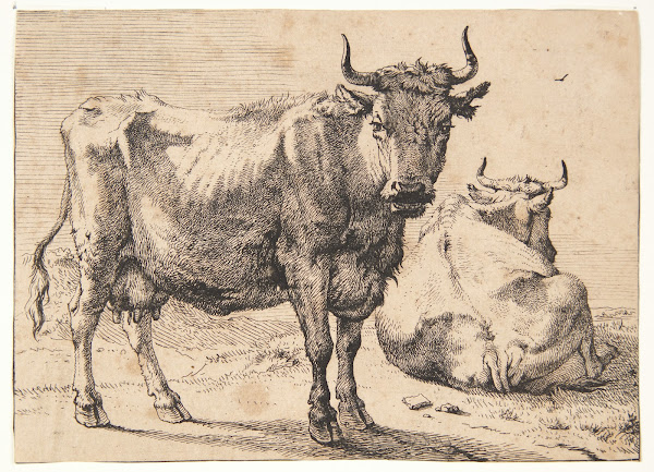 Stående og liggende ko 1650