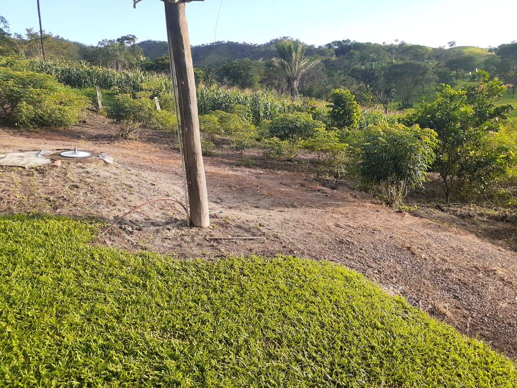 Fazenda no Município de Padre Bernardo - GO 2