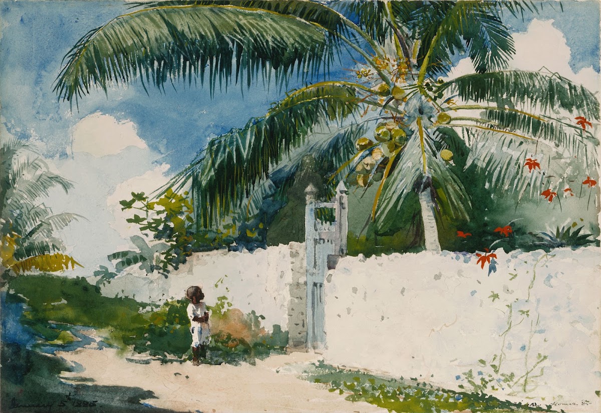 A Garden in Nassau 1885