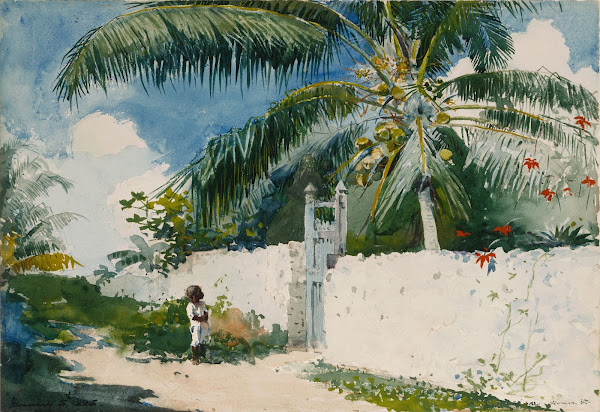 A Garden in Nassau 1885