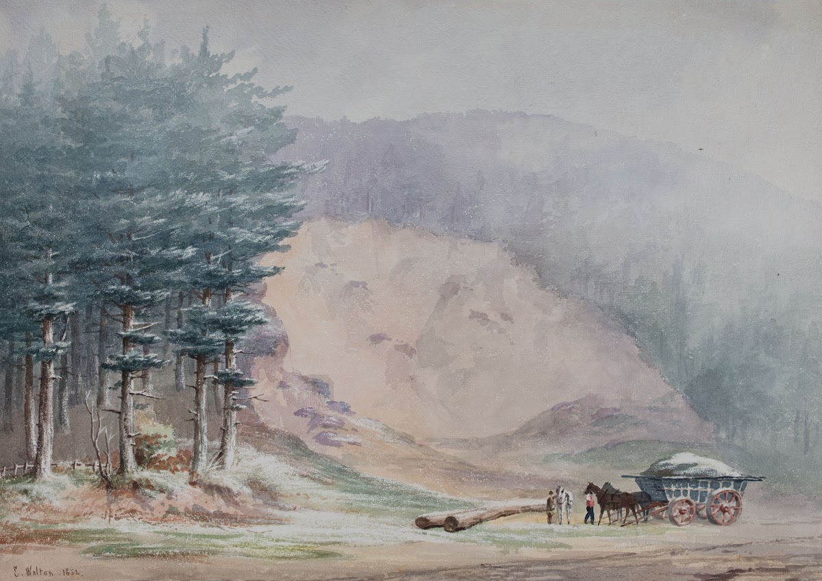 Gravel Pit Rednal 1852