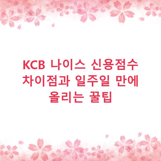 KCB 나이스 신용점수 차이점과 일주일 만에 올리는 꿀팁