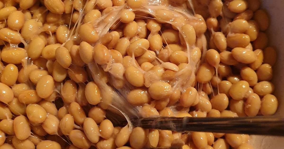 Natto Instant Pot