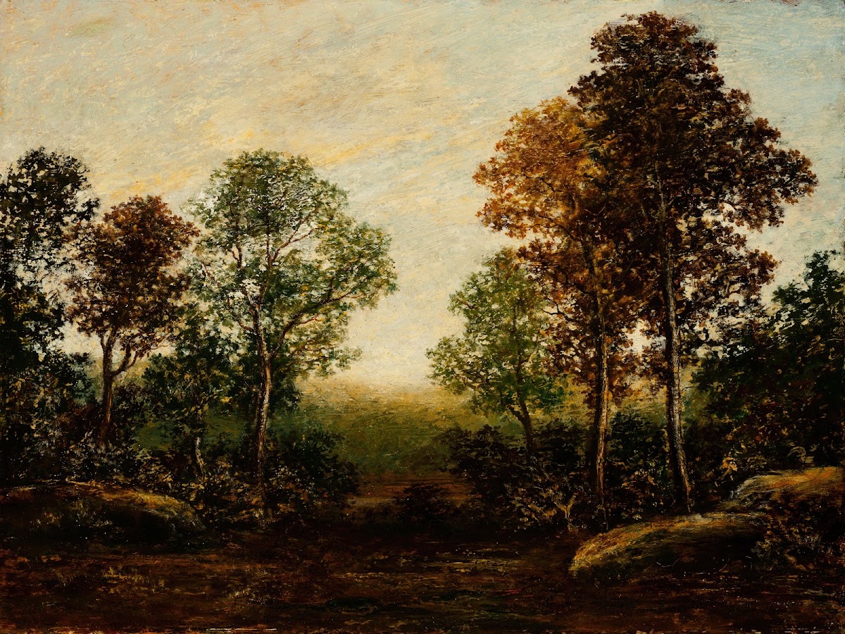 Landscape with Trees circa 1883 1898