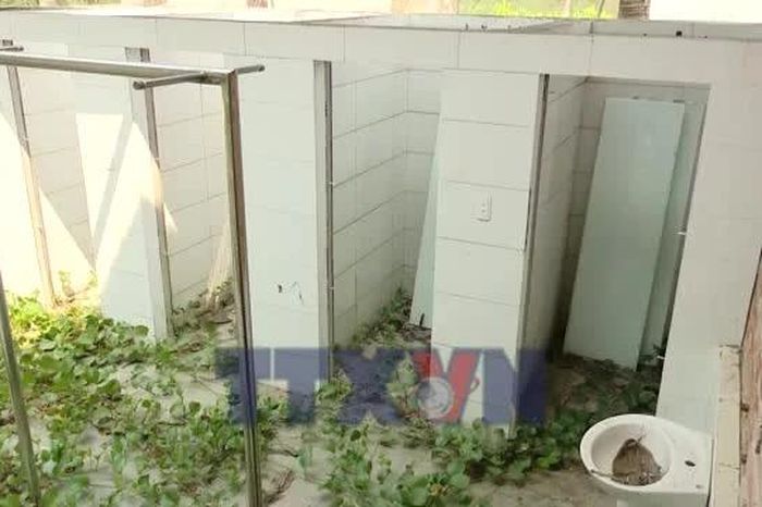 Quảng Trị: Dự án bãi tắm hàng chục tỷ đồng 'đắp chiếu,' cỏ dại mọc tràn lan - Báo VietnamPlus