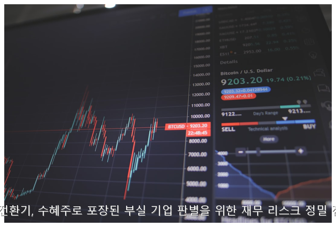 원화 강세 전환기, 수혜주로 포장된 부실 기업 판별을 위한 재무 리스크 정밀 점검 가이드 핵심 안내 및 분석 인포그래픽 (7)